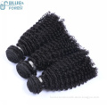 Aliexpress hair from china brazilian afo kinky curly hair , brazilian human hair sew in weave , wholesale virgin brazilian hair